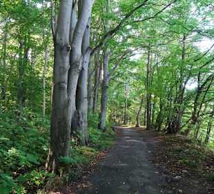 Rundgang durch den Kurpark Calvarienberg
