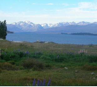 Lake Tekapo 1