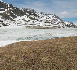 Lago ghiacciato