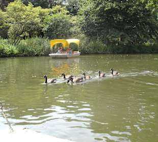 Begleitung