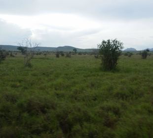 Sarova Salt Lick Game Lodge