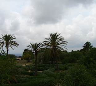 I giardini