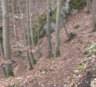 Wolfsschlucht