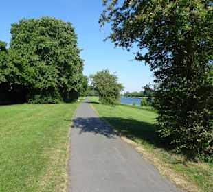 Eindrücke vom Werdersee im Frühling