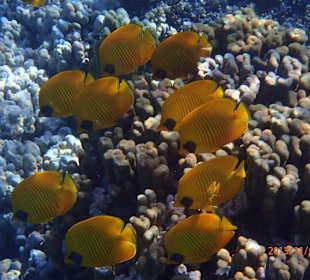 Утреннее построение