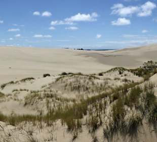 Sandduenen von Oregon