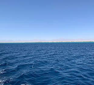 Delfin Tour Hurghada