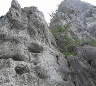 Wanderung rund um das Rusenschloss Gerhausen