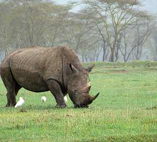 Früh morgens im Regen unterwegs