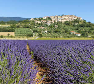 Wandern Château-Arnoux-Saint-Auban