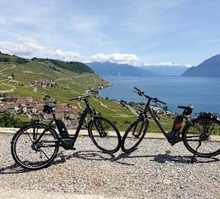 Wandern Vevey