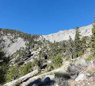 Виды с гор Сан-Габриэль