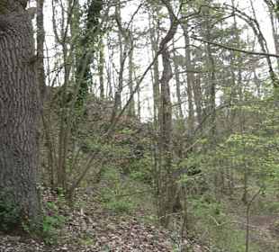 Wanderung rund um das Rusenschloss Gerhausen