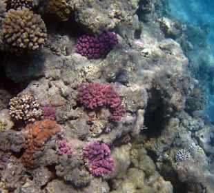 Ein paar wenige Riff(chen) am Strand gibt es noch
