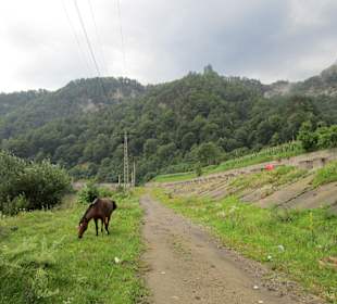 Valea Oltului / Olt-Tal 