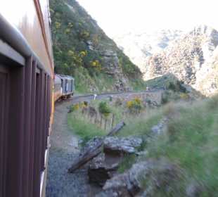 Mitder Taileri Railway durch die Natur Neuseelands