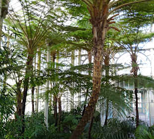 Wilhelma Stuttgart
