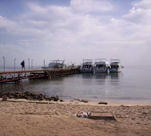 Utopia Boote
