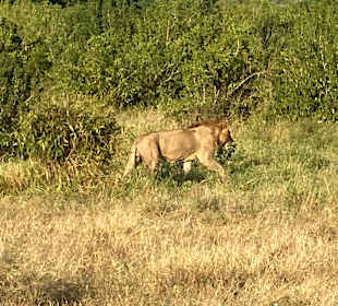 Tsavo Ost