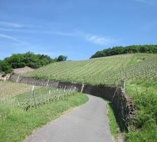 Impressionen Kräuterweg in Assmannshausen