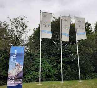 Seehundstation Norddeich in Norden,