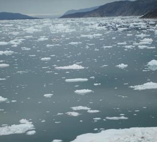 Das Treibeis wird mehr