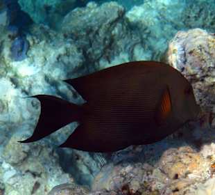 Bilder vom 13.10.16 von mir geschossen