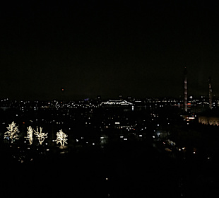 Freilichtmuseum Skansen