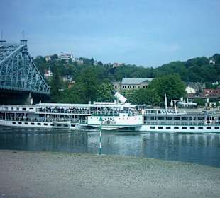 Blick vom Schillergarten auf das "Blaue Wunder"