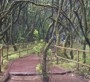 Im Nationalpark von Gomera