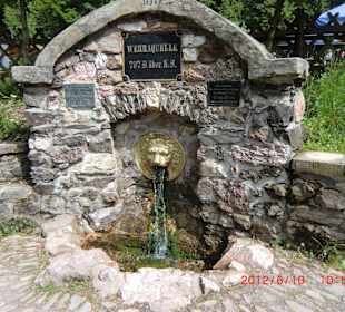 Eindrücke entlang des Werraradwegs