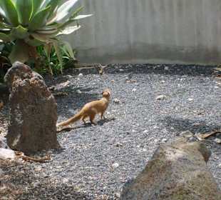 Guinate Tropical Park