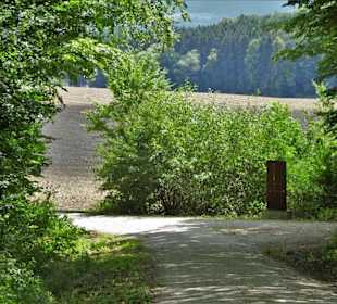 Eindrücke von der Wanderung auf dem Nothelferweg