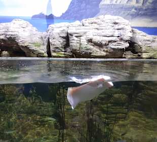 National Aquarium Malta
