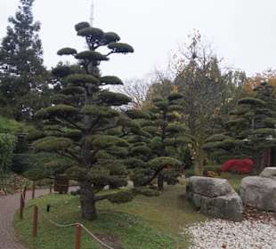 Parkanlage Planten un Blomen