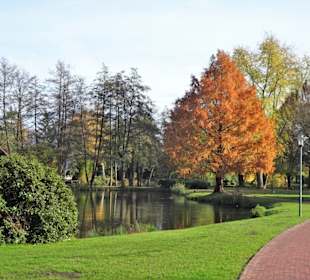November im Stadtpark Wildeshausen