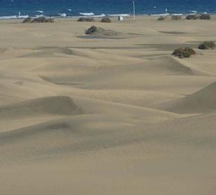 Dünenlandschaft