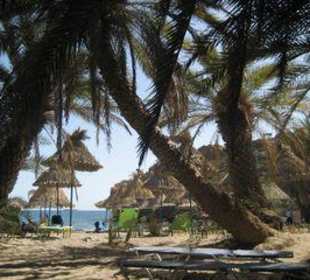 Am Palmenstrand von Vai