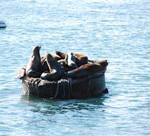 Old Fishermans Wharf, Monterey