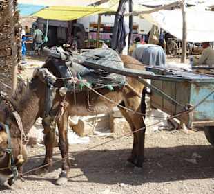 Marokkanische Traktoren