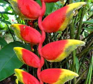 Impressionen aus den Jardins de Valombreuse