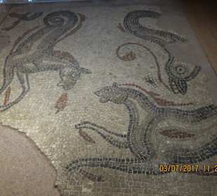 Roman Baths