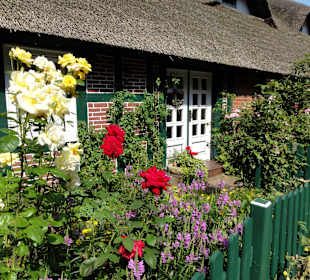 Blocklander Bauernhäuser am Wümmedeich