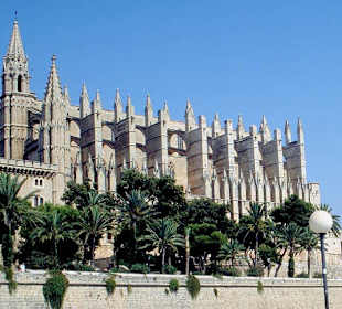 Palma