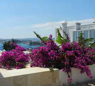 Bodrum - City mit Flair