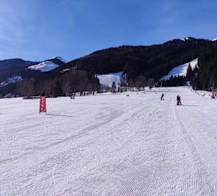 Wandern Donnersbachwald