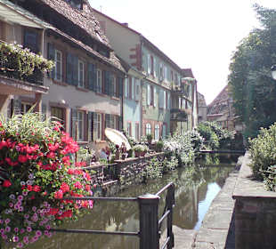 Blumenpracht an der Lauter