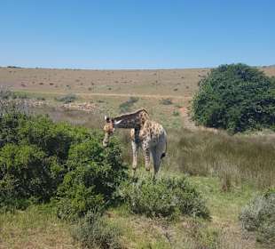 So schön und so nah