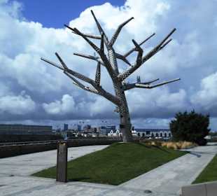 L’Arbre empathique