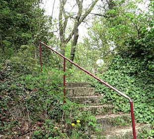 Wallersteiner Felsen